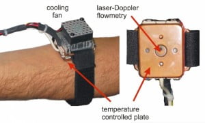 El reloj de nuestra inmortalidad