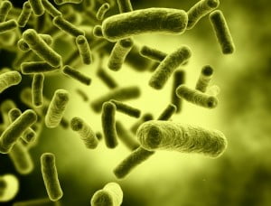 E. coli para generar gasolina