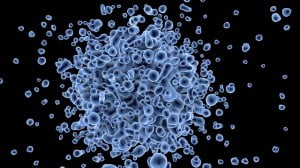 virus ébola