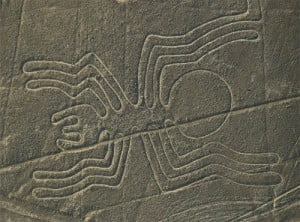 Araña - Líneas de Nazca