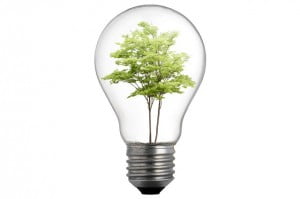 limpieza ultrasonidos