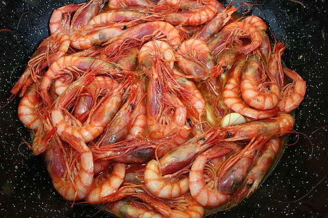 comida