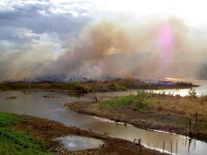 Contaminación India basura