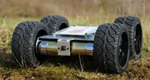 monsterborg-raspberry