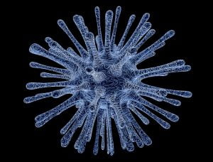 virus