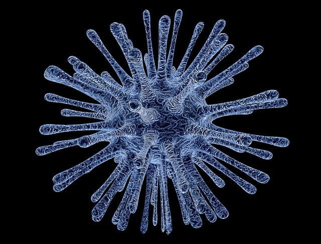 virus