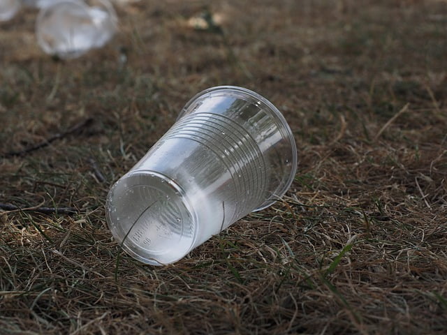 envase plastico