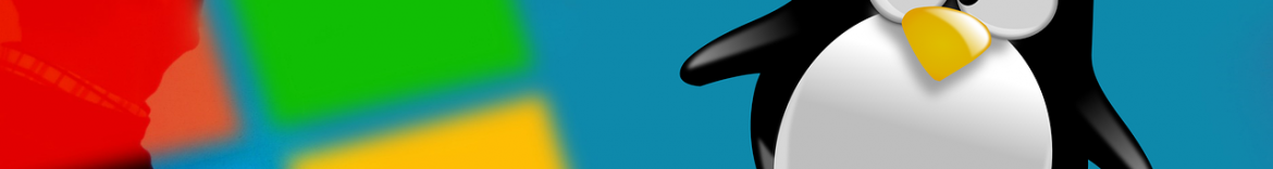 lintober-windows-7079876_640